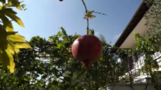 Pefka Studios & Apartments