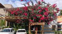 Pousada Divino Milagre Hotel di Barra de Santo Antonio