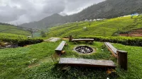 Tea Leaf Stays by Brown Tree Resorts - Aamiaismajoitus