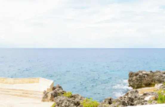 Tropical Treasure at the West