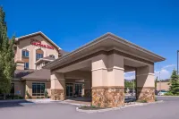 힐튼 가든 인 솔트레이크시티 다운타운