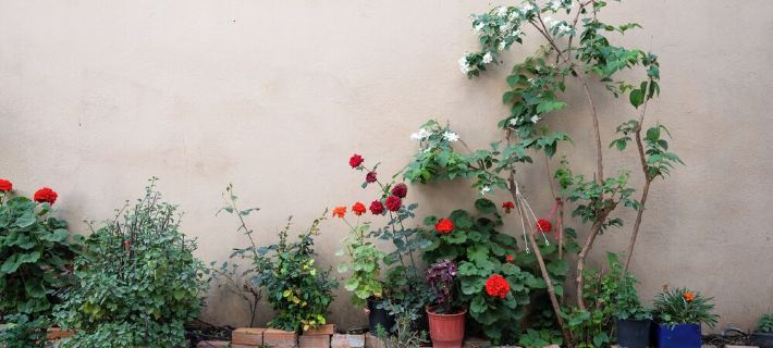 NYX Guesthouse Hotels in Arkadien