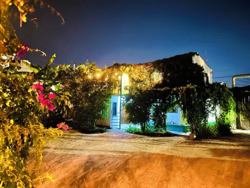 Cabo Bohemia Tropical Garden Studios - Wi-Fi