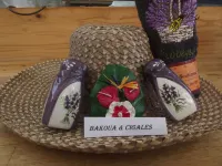 Studio Bakoua & Cigales near the sea