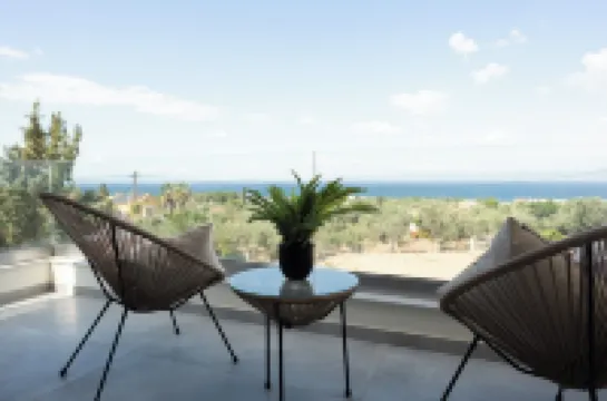 5 minutes from down town and aegean sea view