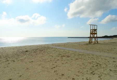 Charming Cape Cod Cottage walking distance to the beach