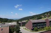 Timeout in the Black Forest – Your Holiday Apartment in Sasbachwalden Hotel a Sasbachwalden