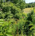 Spectacular Mnt Sunrise spacious pvt suite 2BR/1ba Hotels in Bucksport