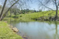 Waterfront Virginia Retreat w/ Canoe, Pets Welcome - Pet friendly