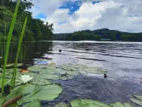 Coziness Located in Linville Land Harbor; Lake Community in the Mountains.