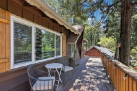 Central Heat & Air, WiFi, Wall Mural and Fully Fenced Minutes from Downtown