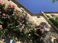 3kms from Uzès in 17th century residence, lovely 3-room apartment with poetic garden Hotels in Montaren-et-Saint-Mediers