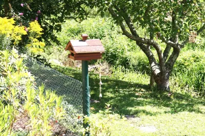 Dani's vacation apartment Experience nature & activity Hotels near Traudel's Cafe