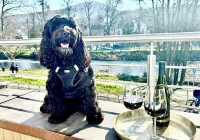 Exclusive apartment Ahrblick 2