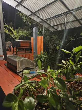 Beach&Jungle Jem; spacious 4 br/2 bath +pool!2 min walk to beach!For Fam/Groups.