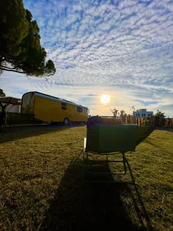 Sleeping in the Historic Bus 15 minutes from Seville surrounded by nature Отели в г. Альхарафе