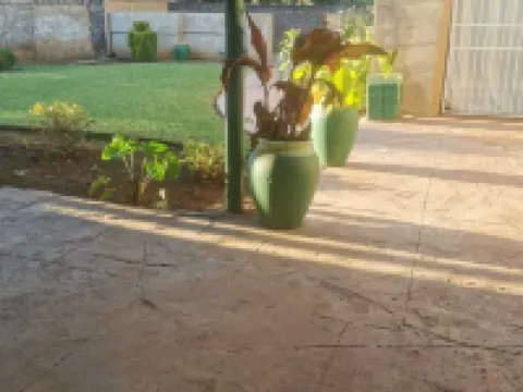 ゴールデンゲート ゲストハウス 0787391431 マフィケングのホテル