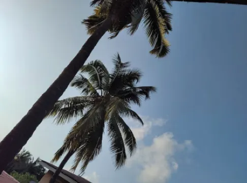 20 Mins From Sunburn, 2BHK Apt with Pool in Siolim