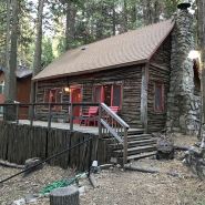 Unplugged Rustic Cabin in the Woods