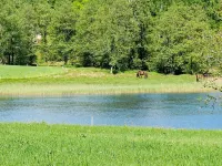 6 person holiday home in ULLARED Отели в г. 