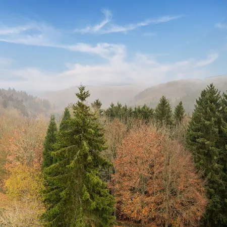 Reifferscheid Wellness Escape Hotéis em Hellenthal