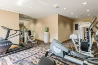 Quality Inn & Suites University Area - gimnasio