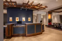 底特律/烏蒂卡凱悦嘉軒酒店 - 泳池