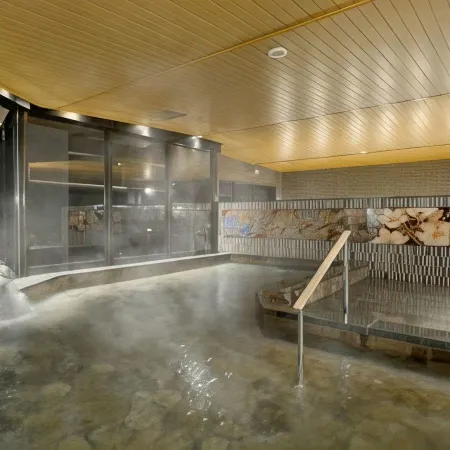 Kyoto Station Hot Spring & Hotel - Hatoya Zuihokaku