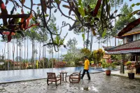 Jambuluwuk Convention Hall & Resort Puncak - Pools
