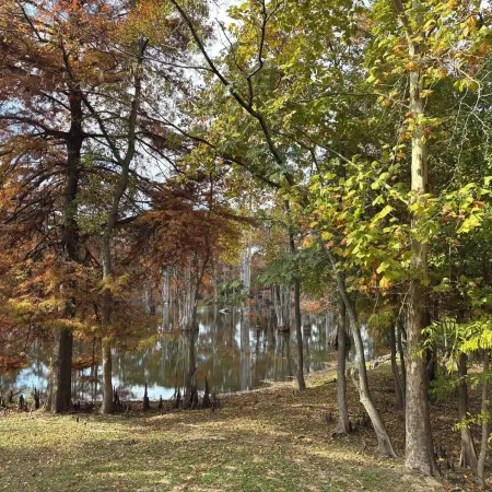 Sleeps 10. Bayou Front Home close to ULM, Sports Complexes, Airport and I-20.