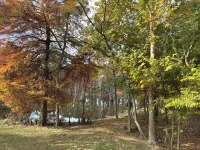 Sleeps 10. Bayou Front Home close to ULM, Sports Complexes, Airport and I-20.