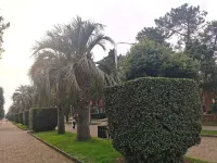 Harmony Boutique Hostel - 2-نجوم
