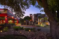 Aiden by Best Western @ Austin City Hotel