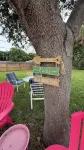 1 Bed Room Pool Steps to Beach - Kondo