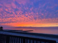 HOJO Brewing & Stays - Sea View