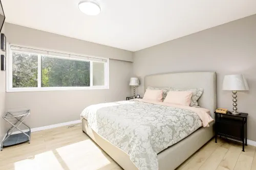 The Forest Pedal House