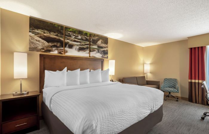 Clarion Point Cherokee