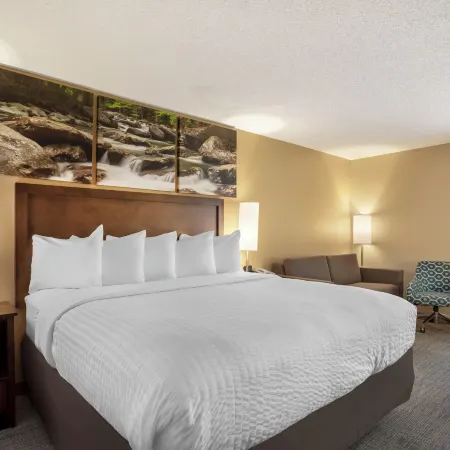 Clarion Point Cherokee Отели в г. Суэйн