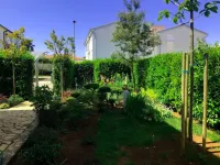 Apartment in Fishing Village Near Umag - Apartments
