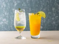 Kinugawa Onsen Hotel - Bar