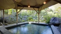 Seiryuso - Hot Springs