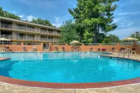 Best Western Fairfax - Kolam Renang