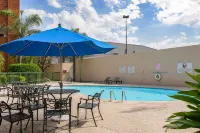 Wyndham Garden Monterrey Norte - Pool