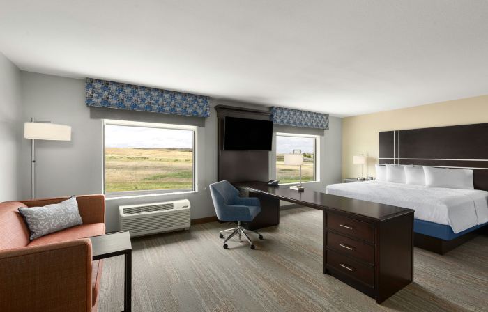Hampton Inn & Suites Douglas