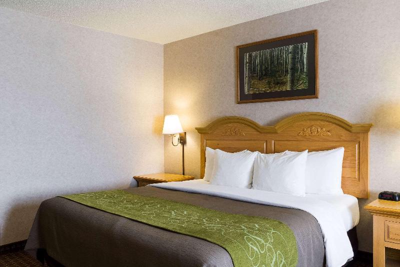 Comfort Inn and Suites Custer