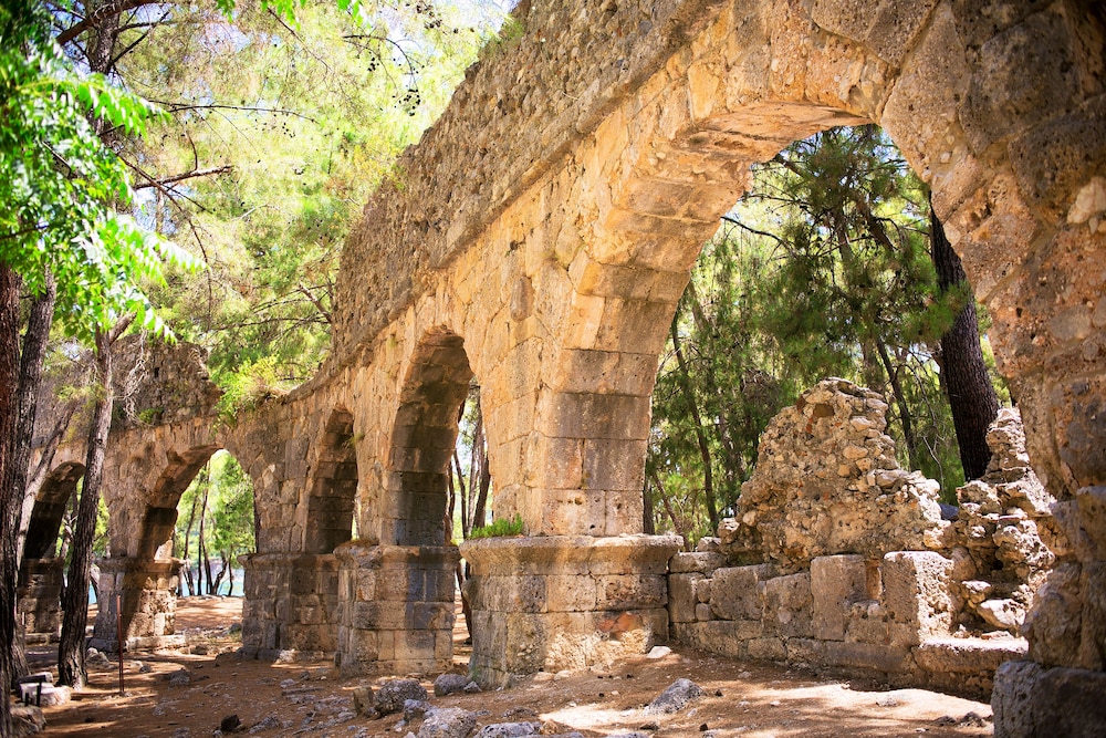 Martı Myra