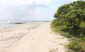 Alofa Beach Bungalows