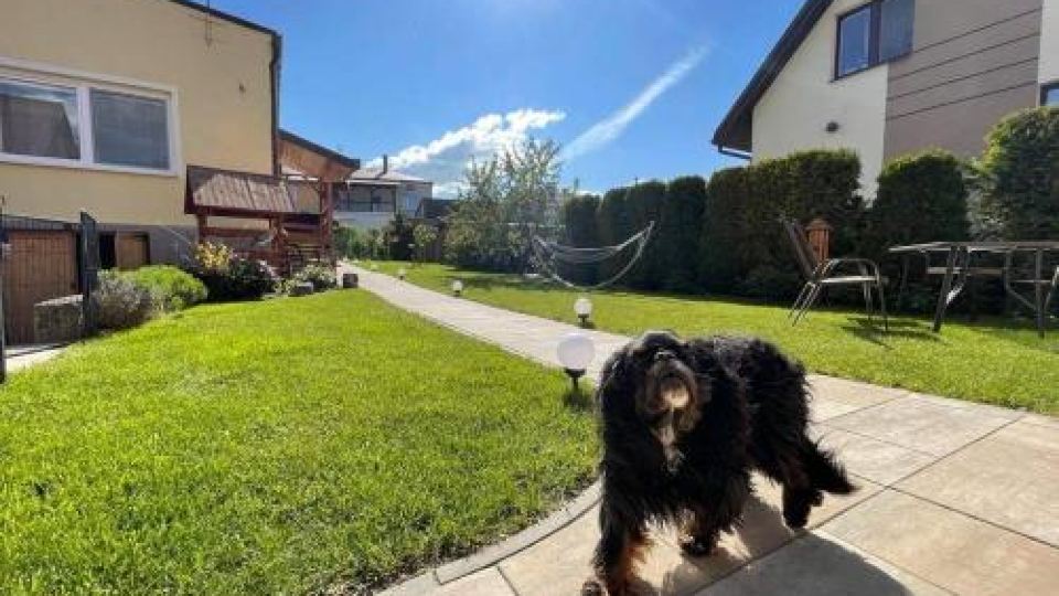 Apartament Cicho Sza