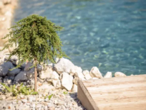 Grimmingblickhütte Hotels in Grobming