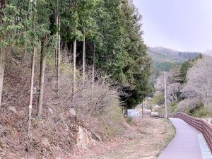 축령산 황토 편백 펜션